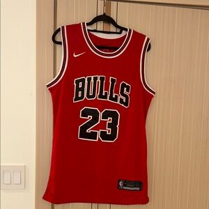 Nike Men’s Chicago Bulls Michael Jordan Authentic Jersey